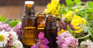 Tıbbi aromatik bitkiye sanayici desteği